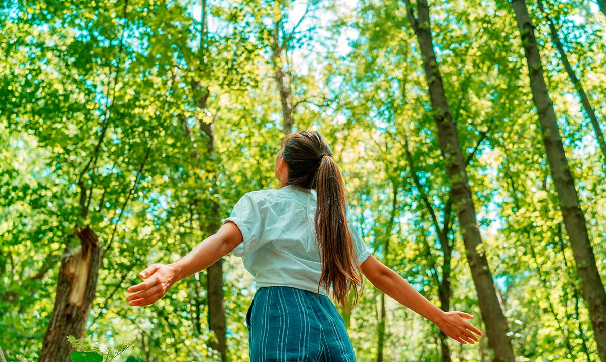 Diseñar un bosque en el método Miyawaki